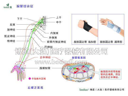 腕關節(jié)的常見疾病與健康防護