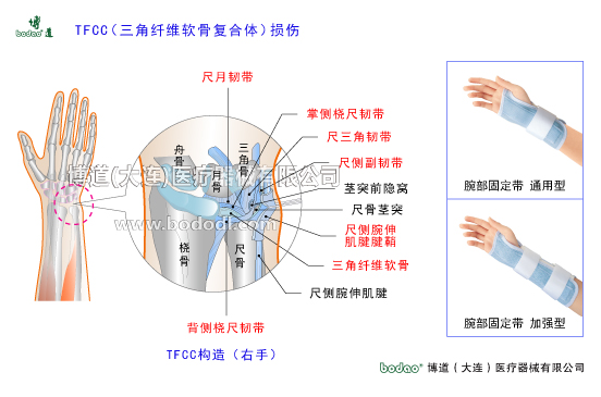 腕關節(jié)的常見疾病與健康防護