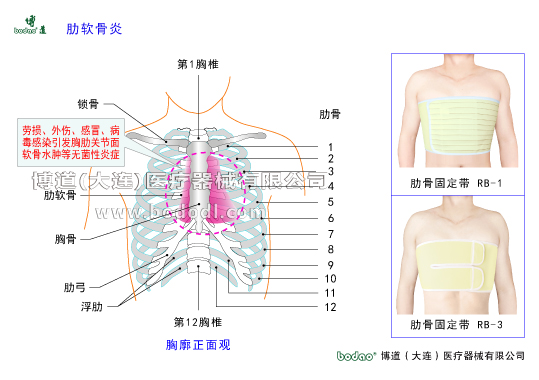 胸肋部常見疾病與健康護(hù)理