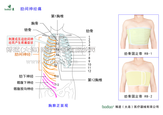 胸肋部常見疾病與健康護(hù)理