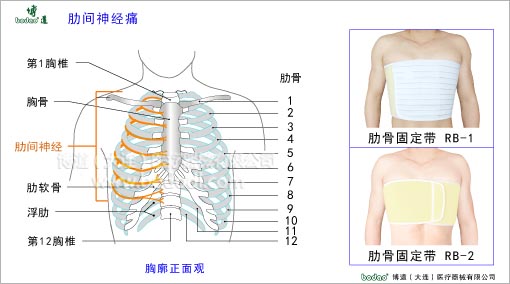 脊椎部疾病與健康護理