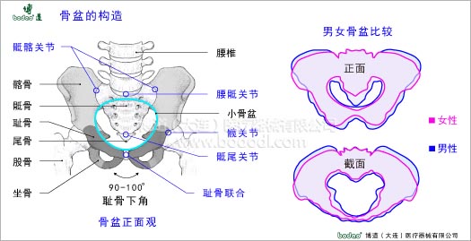 骨盆疾病與健康護理