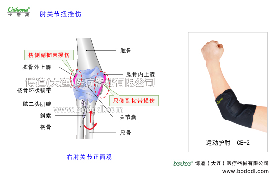 肘關(guān)節(jié)的運(yùn)動(dòng)損傷與防護(hù)