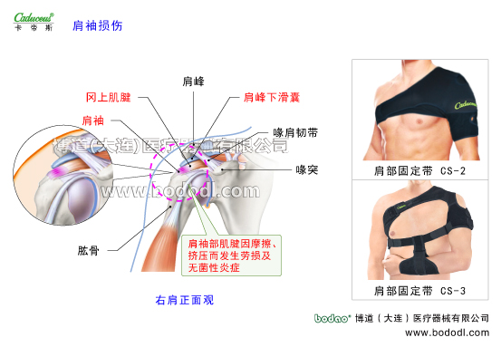 肩關節(jié)的運動損傷與防護