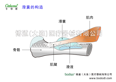 膝關(guān)節(jié)的運(yùn)動(dòng)損傷與防護(hù)