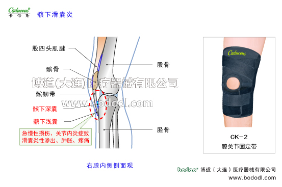 膝關(guān)節(jié)的運(yùn)動(dòng)損傷與防護(hù)
