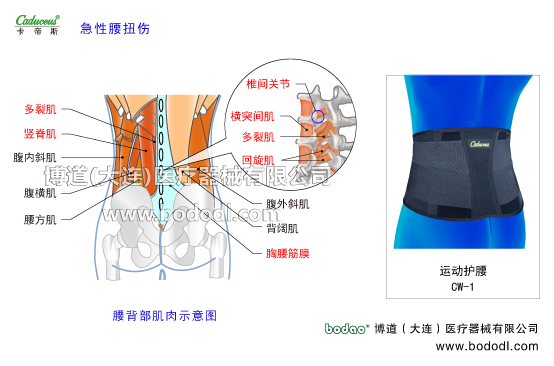 腰椎部的運(yùn)動(dòng)損傷與防護(hù)