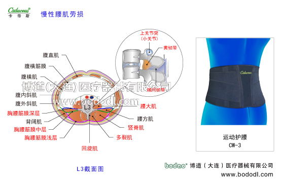腰椎部的運(yùn)動(dòng)損傷與防護(hù)
