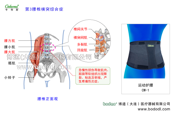 腰椎部的運(yùn)動(dòng)損傷與防護(hù)