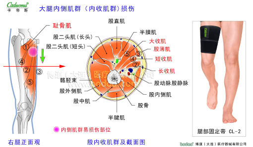 肌肉損傷與運動防護