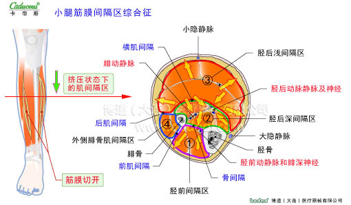 肌肉損傷與運動防護