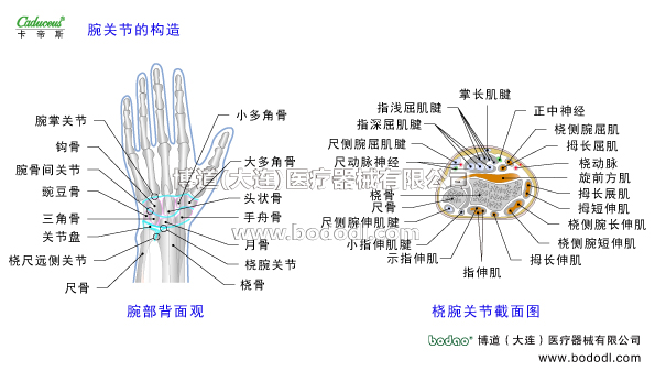 腕關(guān)節(jié)的運(yùn)動(dòng)損傷與防護(hù)