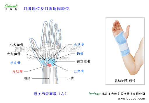 腕關(guān)節(jié)的運(yùn)動(dòng)損傷與防護(hù)
