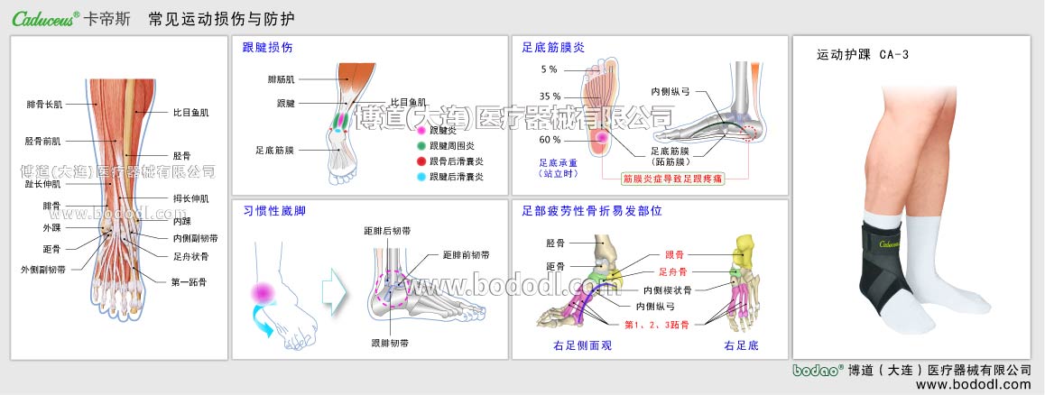 MAJOR SPORTS INJURY OF ANKLE JOINT