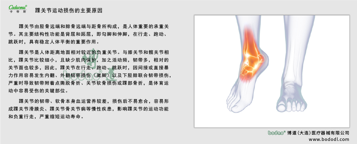 踝關(guān)節(jié)的運動損傷