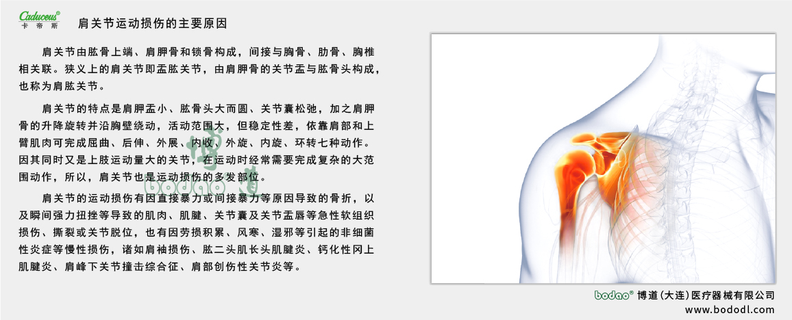 肩關(guān)節(jié)的運(yùn)動(dòng)損傷