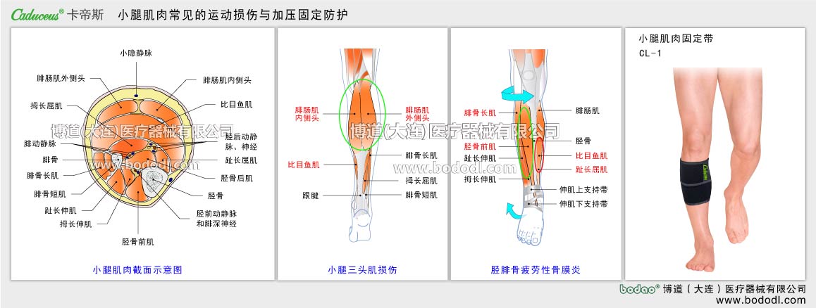 筋肉の主なスポーツ損傷