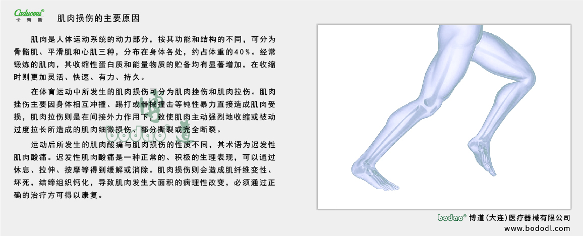 肌肉的運動損傷