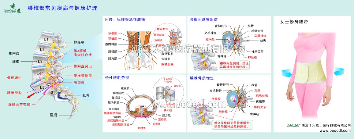 腰部の主な疾患