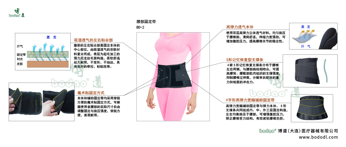 腰部固定帶的產(chǎn)品詳情