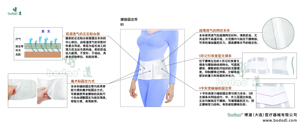 腰部固定帶的產(chǎn)品詳情