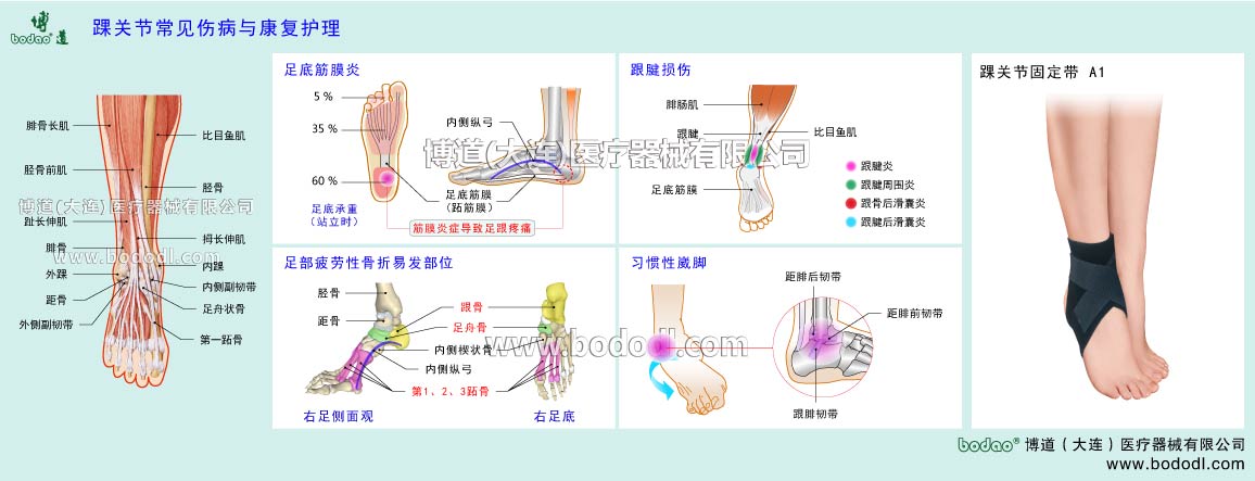 足首の主な疾患