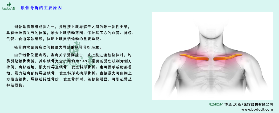 鎖骨傷病的主要原因