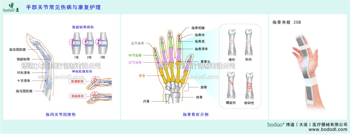 指関節(jié)の主な疾患