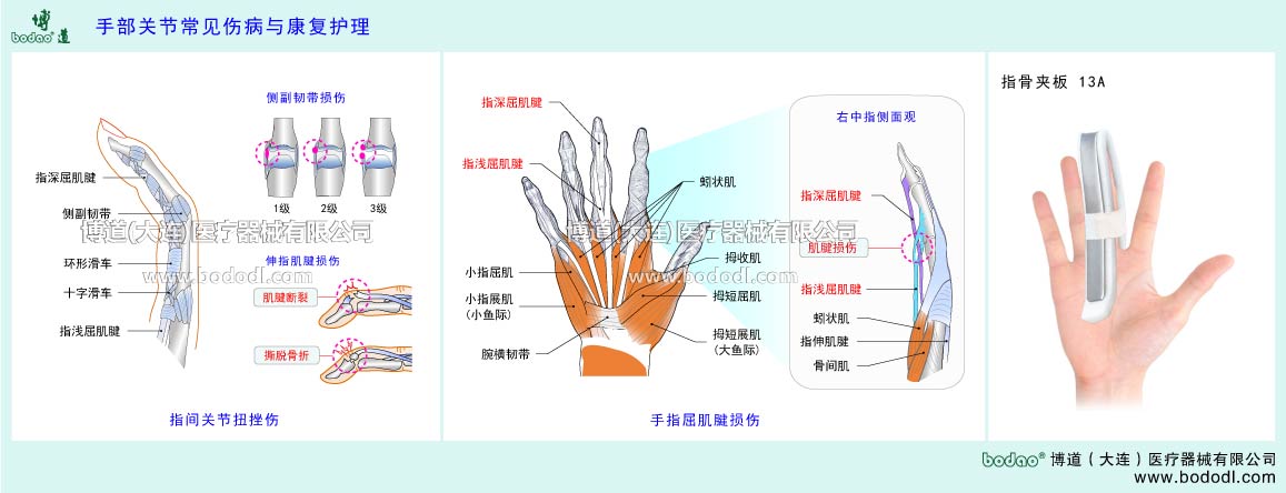 指関節(jié)の主な疾患