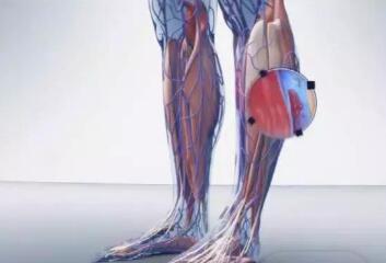 靜脈曲張對人體有哪些危害？